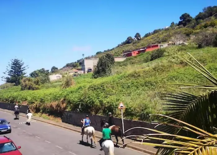 La Casa Roja 2