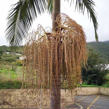 Διαμέρισμα La Casa Roja 2